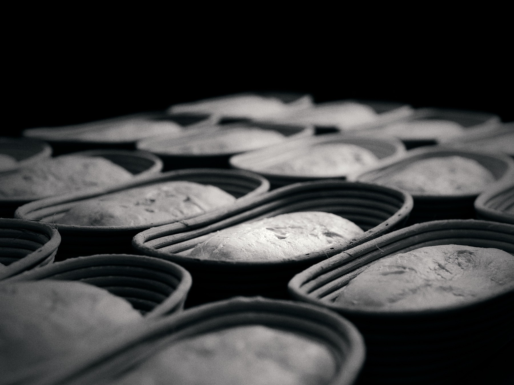 Rows of proofing baskets filled with dough